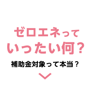 ゼロエネっていったい何？補助金対象って本当？